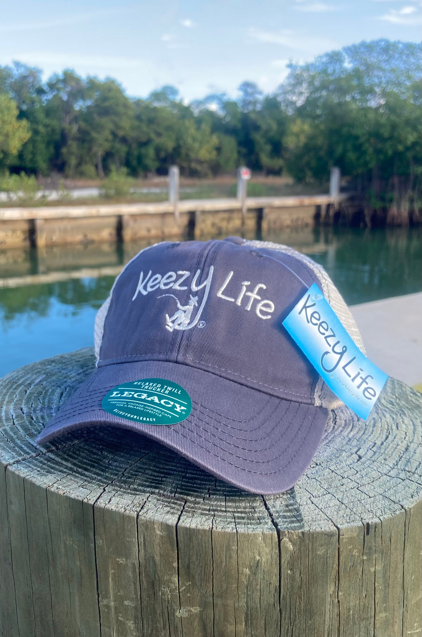 Dark Gray Trucker Cap