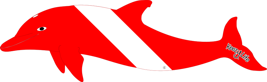 Dolphin Dive Decal