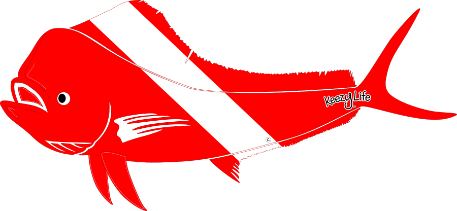 Copyrighted image of a Mahi Mahi. Red body with a white stripe that looks live a diver down flag.