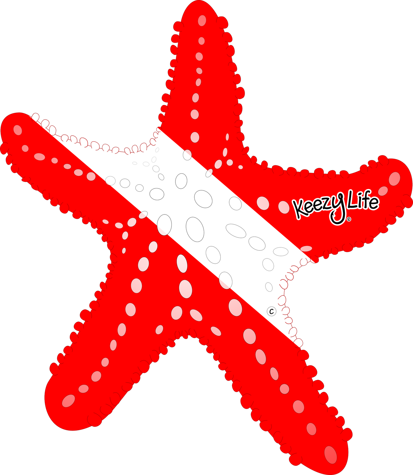 Starfish Dive Magnet