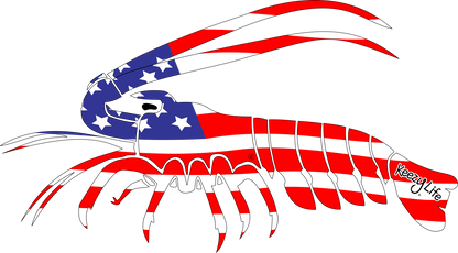 Copyrighted image of a Lobster. Body is covered with the a American Flag.