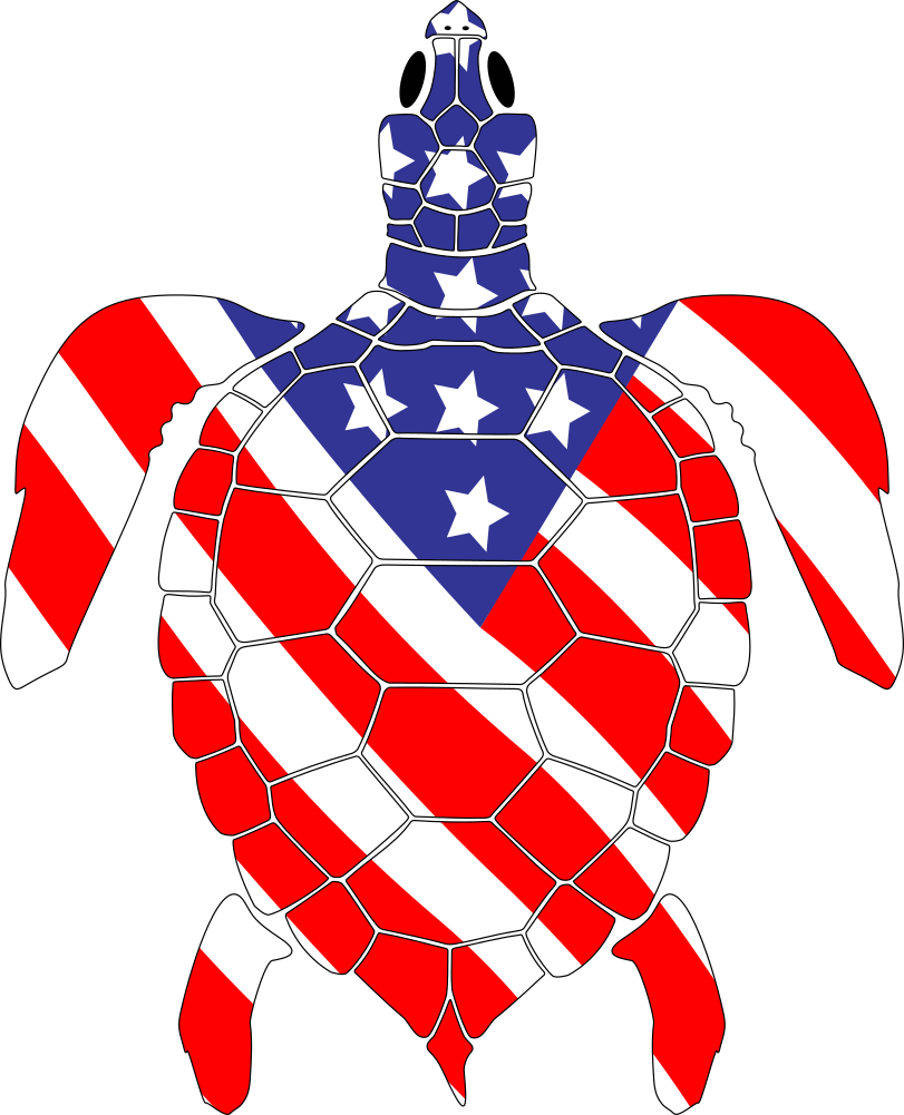 American Flag Sea Turtle Decal
