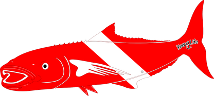 Copyrighted image of a Cobia. Red body with a white stripe that looks live a diver down flag.