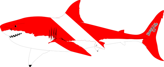 Great White Shark Dive Decal