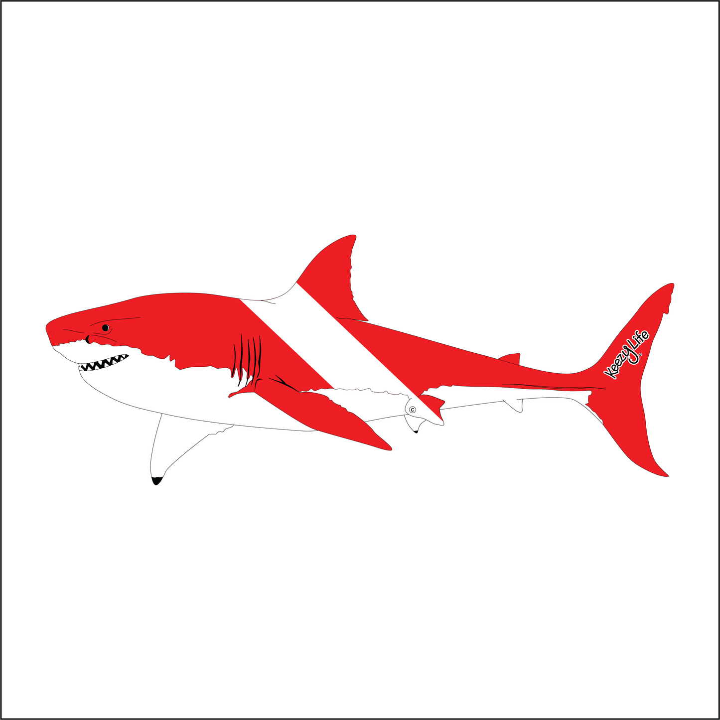 Copyrighted image of a Great White Shark. Red body with a white stripe that looks live a diver down flag.