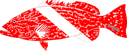 Copyrighted image of a Grouper. Red body with a white stripe that looks live a diver down flag.