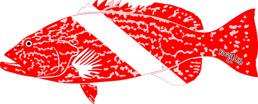 Grouper Dive Decal