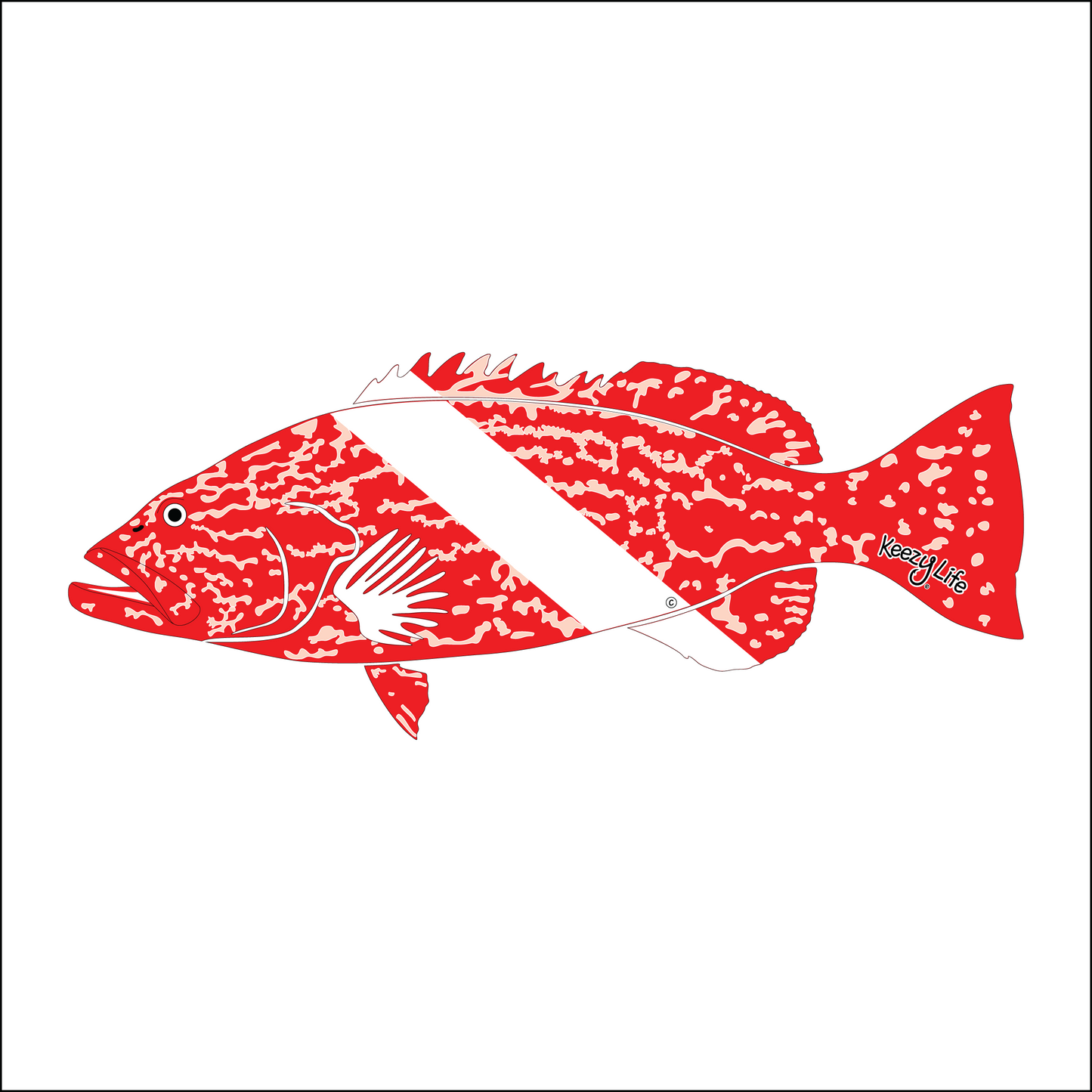 Copyrighted image of a Grouper. Red body with a white stripe that looks live a diver down flag.