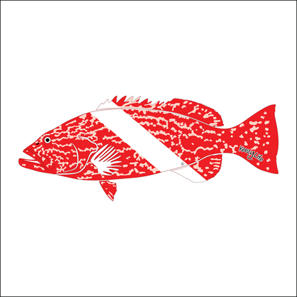 Copyrighted image of a Grouper. Red body with a white stripe that looks live a diver down flag.