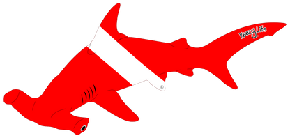 Copyrighted image of a Hammer Head Shark. Red body with a white stripe that looks like a diver down flag.