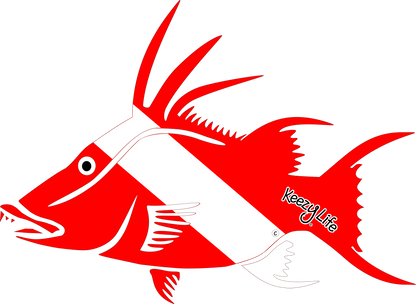 Copyrighted image of a Hogfish. Red body with a white stripe that looks live a diver down flag.