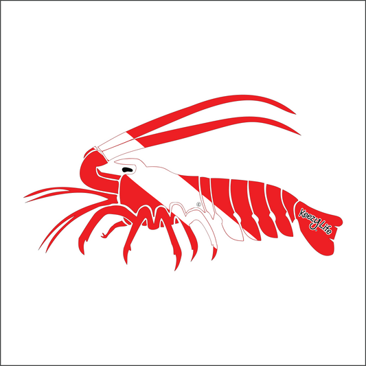 Copyrighted image of a Lobster. Red body with a white stripe that looks live a diver down flag.