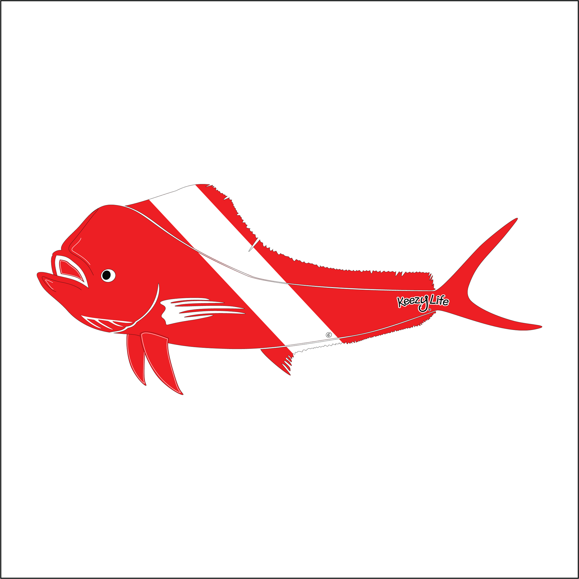 Copyrighted image of a Mahi Mahi. Red body with a white stripe that looks live a diver down flag.