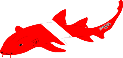 Copyrighted image of a Nurse Shark. Red body with a white stripe that looks live a diver down flag.
