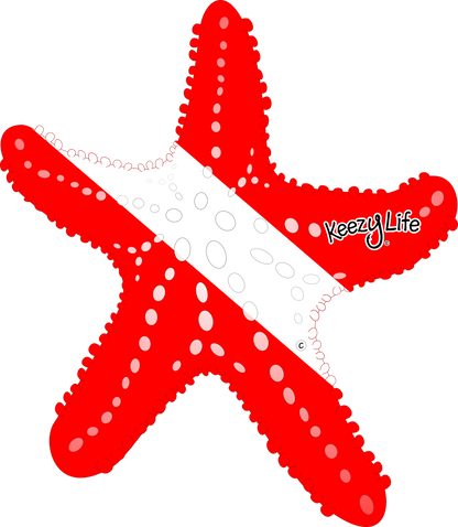 Copyrighted image of a Starfish. Red body with a white stripe that looks live a diver down flag.