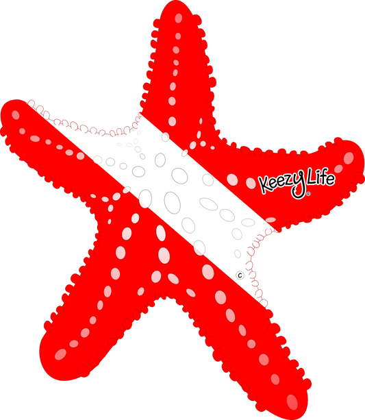 Starfish Dive Magnet