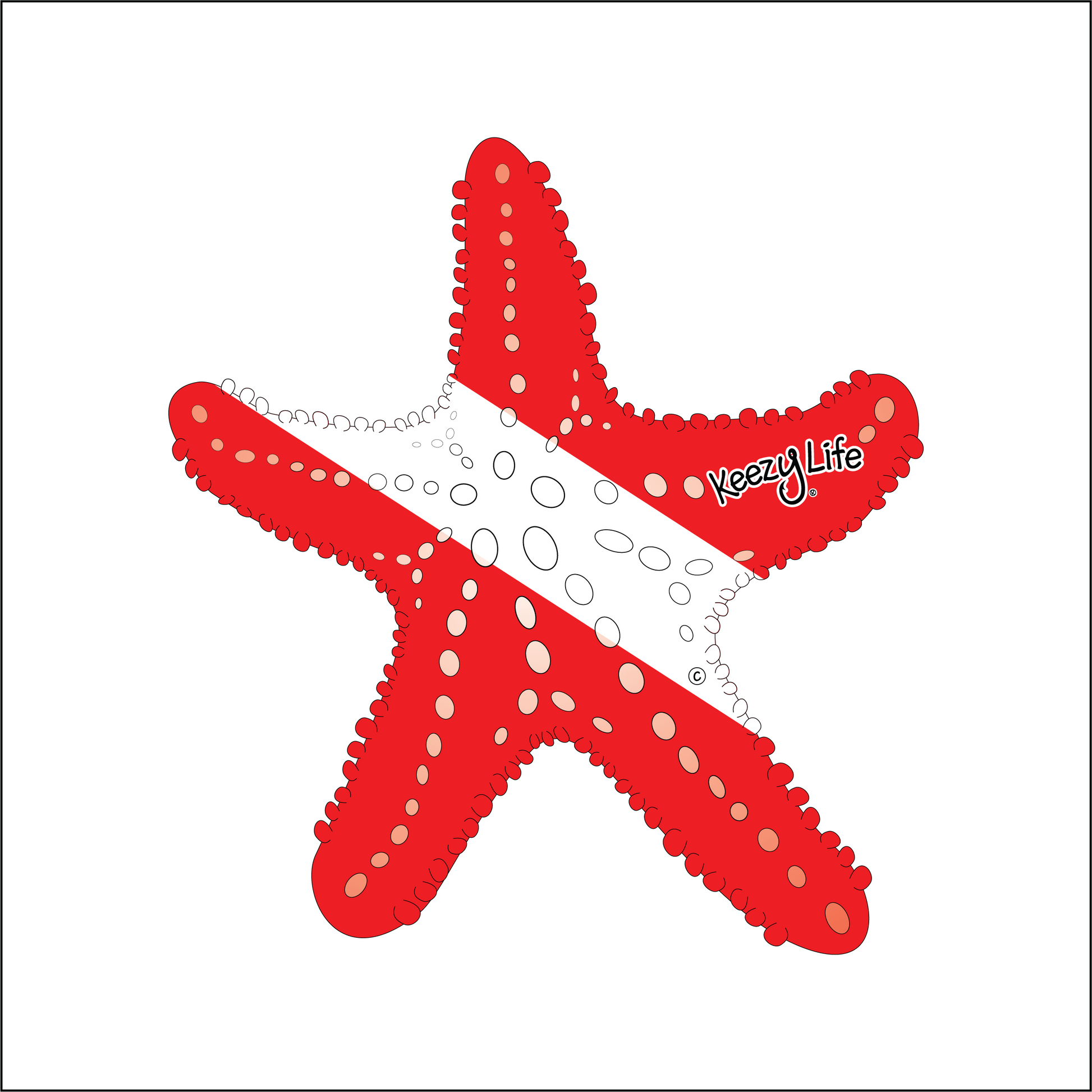 Copyrighted image of a Starfish. Red body with a white stripe that looks live a diver down flag.