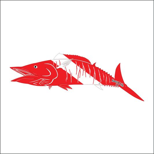Copyrighted image of a Wahoo. Red body with a white stripe that looks live a diver down flag.